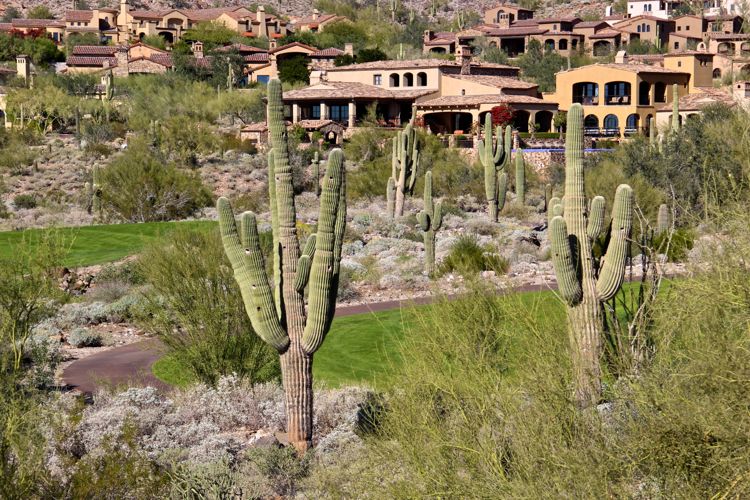 Homes overlooking the golf course in Silverleaf