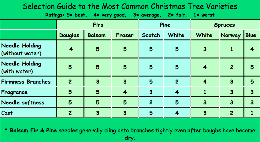 Helpful information about Christmas tree varieties