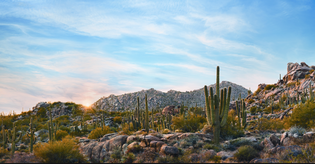 City of Scottsdale rezoning open house for McDowell Sonoran Preserve, December 17