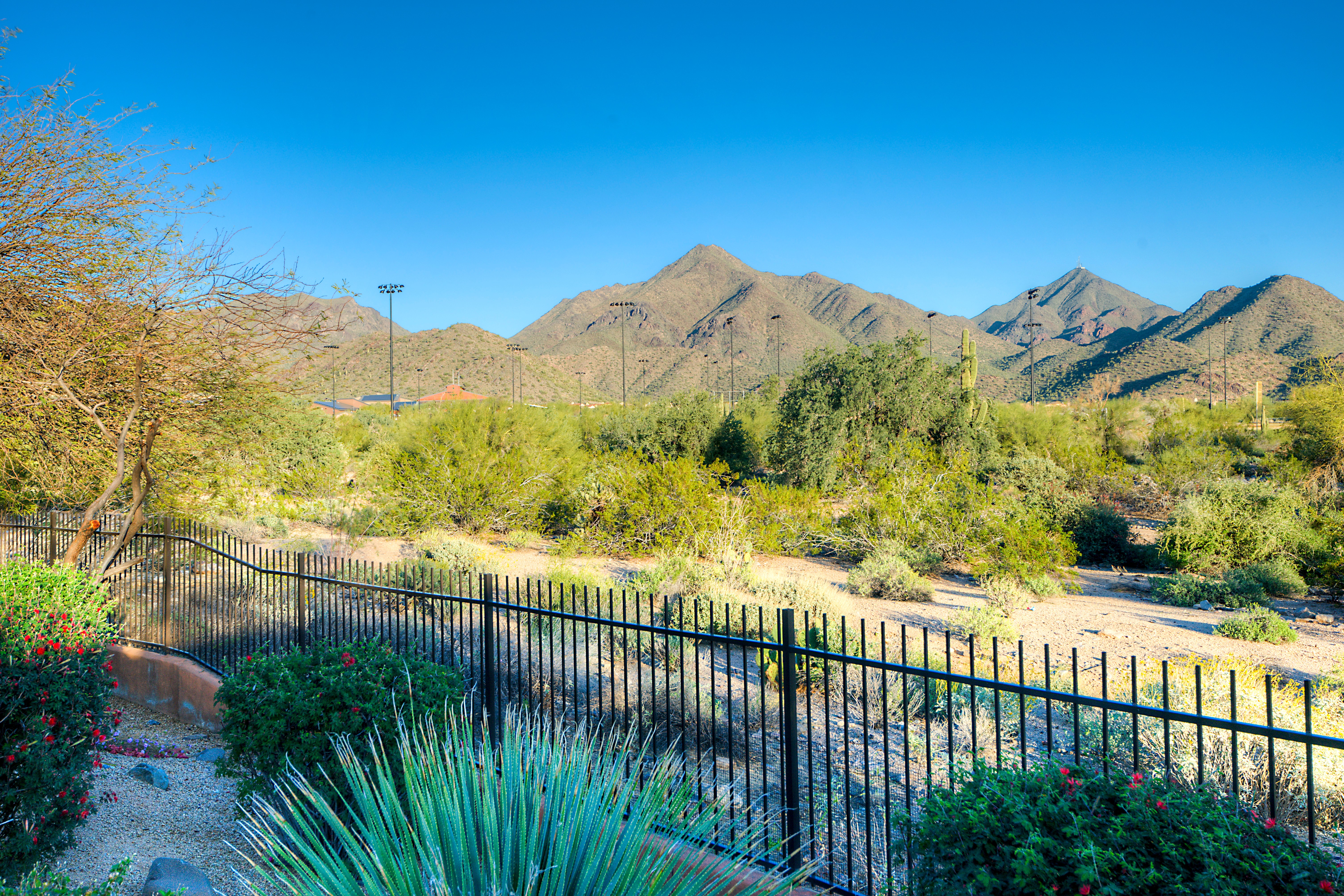 Desert wash views at this Scottsdale home for sale in DC Ranch located at 19829 N 97th Pl Scottsdale, AZ 85255 listed by Don Matheson at The Matheson Team