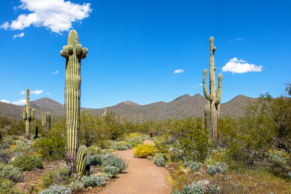 Weekend Itinerary for a Scottsdale Adventure