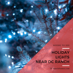Where to See Christmas Lights Near DC Ranch