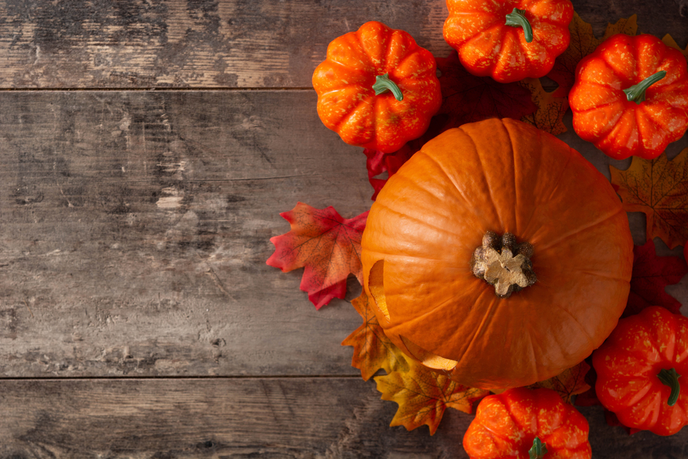 Best Places in Scottsdale to Get Pumpkins for Fall