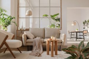 Home Staging Issues