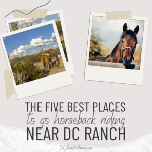 5 Best Places to Go Horseback Riding in Scottsdale Near DC Ranch