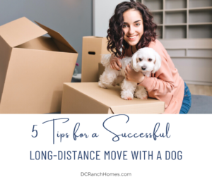 5 Tips for a Successful Long-Distance Move With a Dog