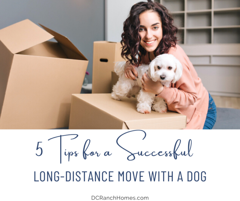 5 Tips For A Successful Long-Distance Move With A Dog - DC Ranch Homes