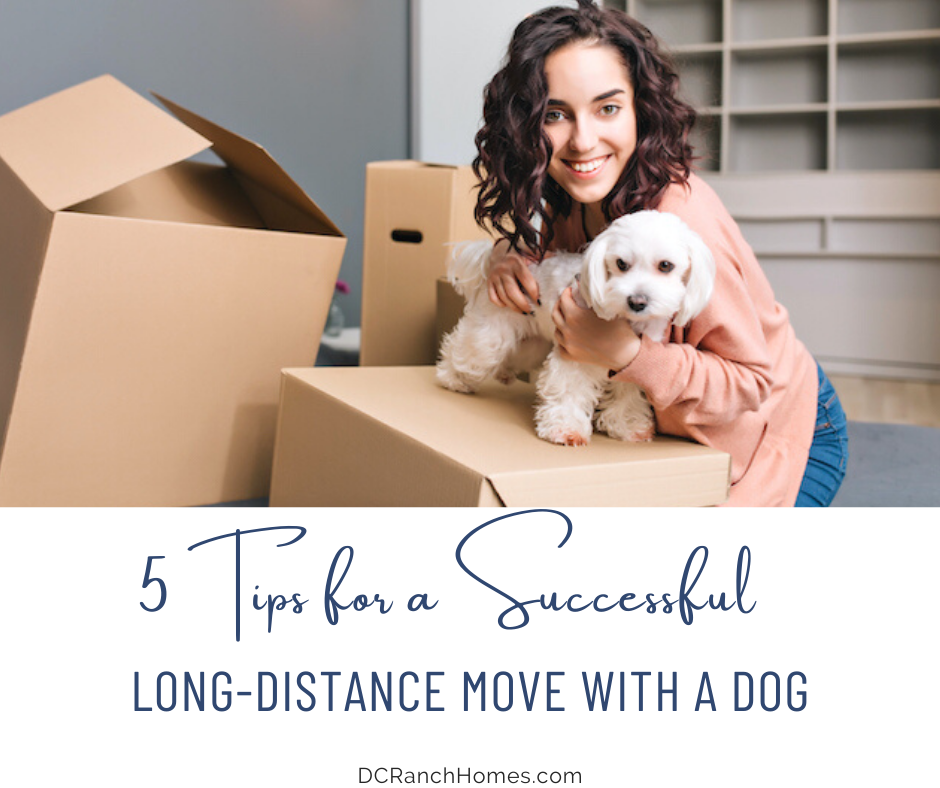 5 Tips for a Successful Long-Distance Move With a Dog