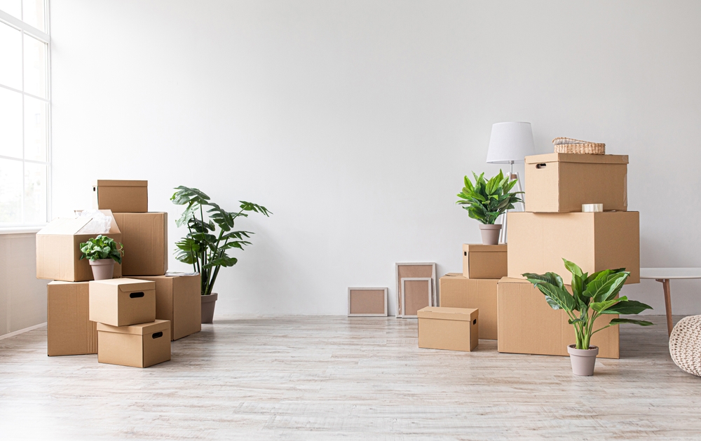 Packing Tricks to Simplify Your Move to DC Ranch
