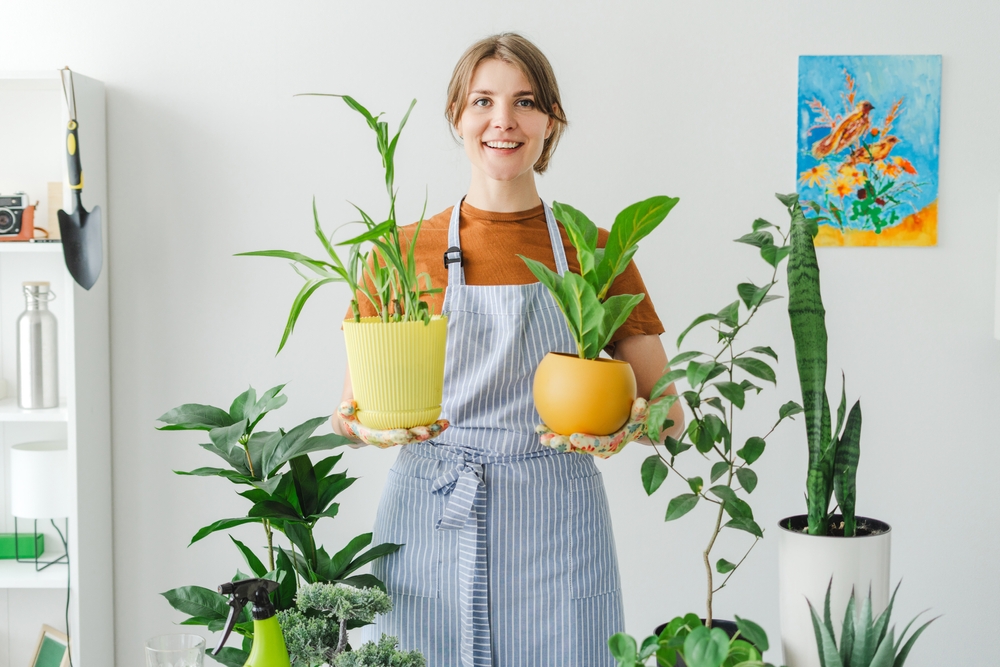 Air Purifying Plants