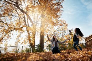 Fun Things to Do Near DC Ranch in Scottsdale This Fall