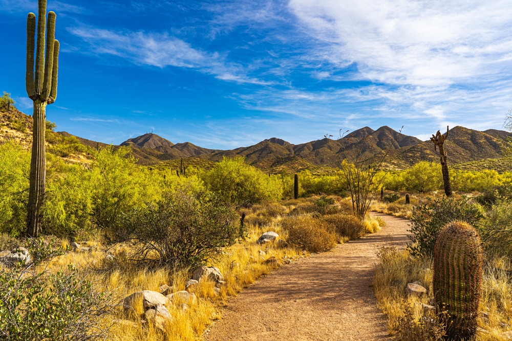 Places to Take Your Grandkids Near DC Ranch