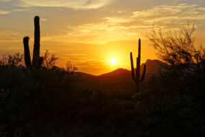 Best Date Night Ideas in Scottsdale