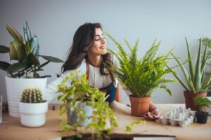 Make Your DC Ranch Home More Sustainable