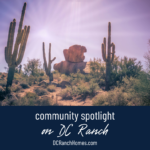 Community Spotlight: The Unique Lifestyle and Amenities of DC Ranch