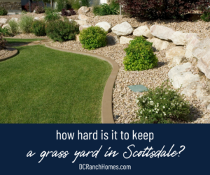 How Hard is It to Keep a Grass Yard in Scottsdale?