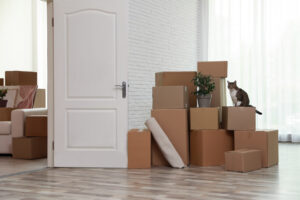 Stress Free Guide to Moving With a Cat